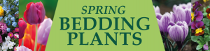 Spring Bedding Plants Bespoke Banners