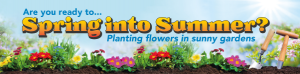 Spring into Summer Bespoke Banner