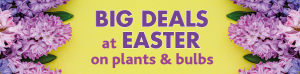Big Deals at Easter