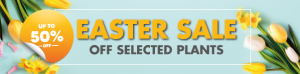 Easter Sale Bespoke Banner