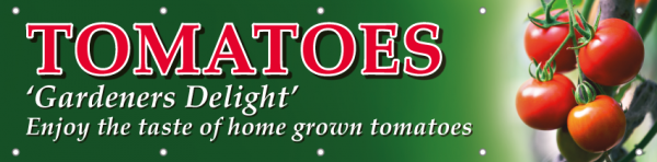Tomatoes Horizontal Banner