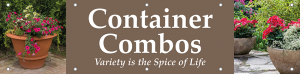 Containter Combos Horizontal Banner