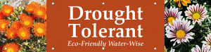 Drought Tolerant Horizontal Banner