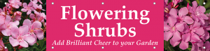 Flowering Shrubs Horizontal Banner