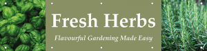 Fresh Herbs Horizontal Banner
