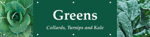 Greens Horizontal Banner