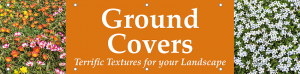 Ground Covers Horizontal Banner