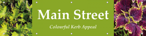 Main Street Horizontal Banner