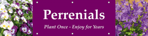 Perrenials Horizontal Banner