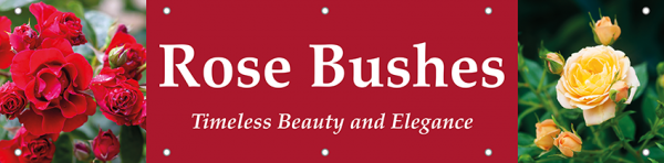 Rose Bushes Horizontal Banner