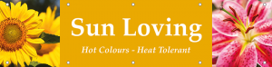 Sun Loving Horizontal Banner