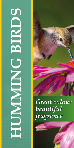 Humming Birds Vertical Hanging Banner