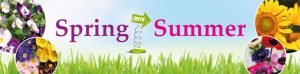 Bespoke Banner Spring into Summer