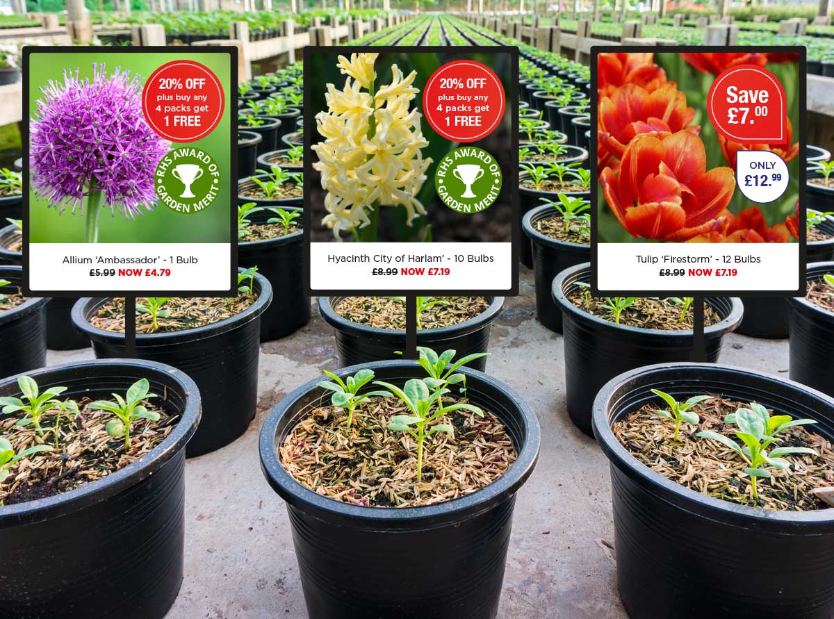 plant labels