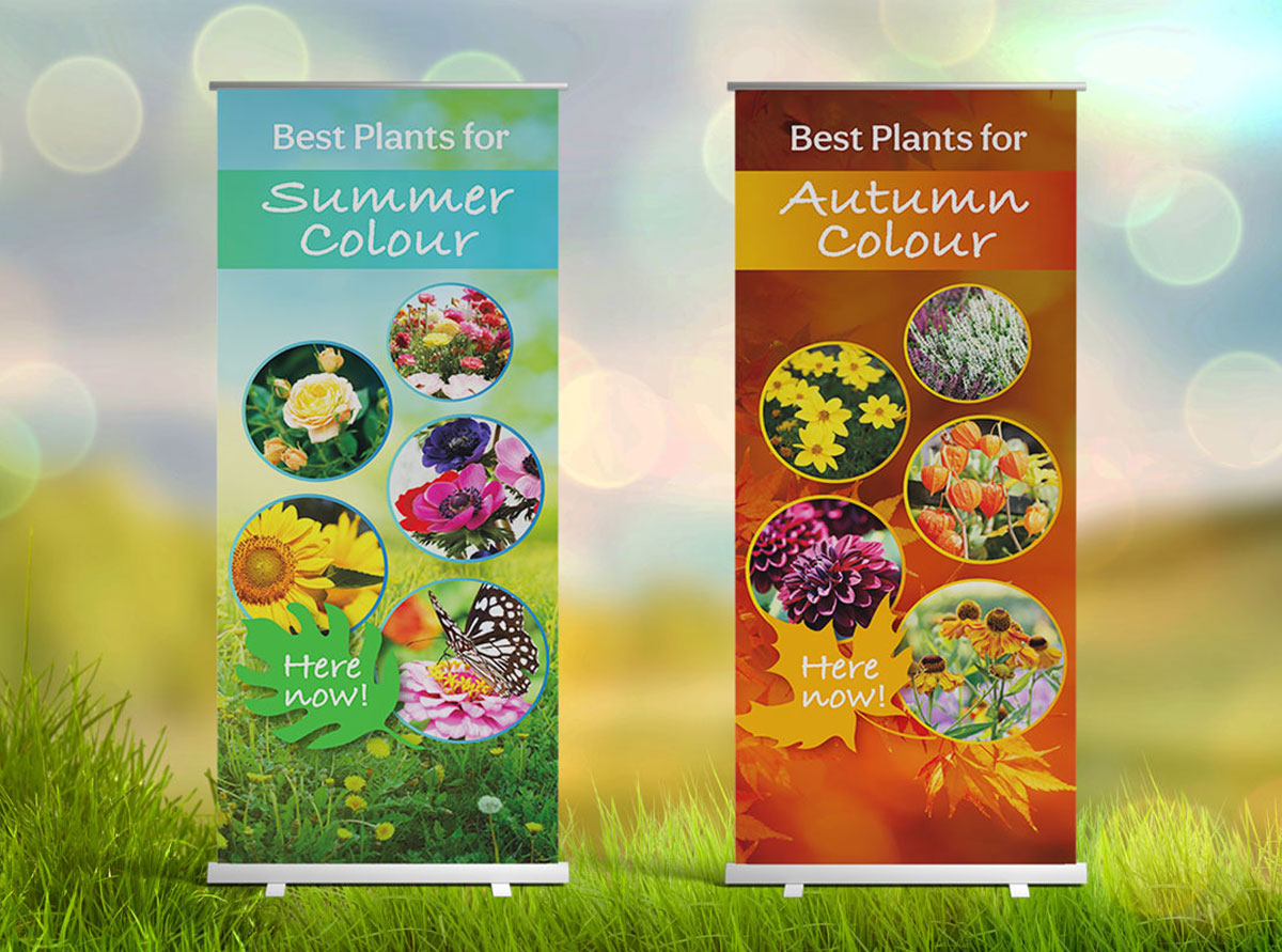 Summer Autumn pull up banners