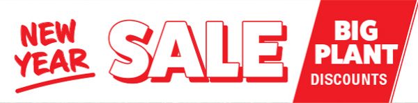 New Year Sale Big Plant Discounts Bespoke Banner