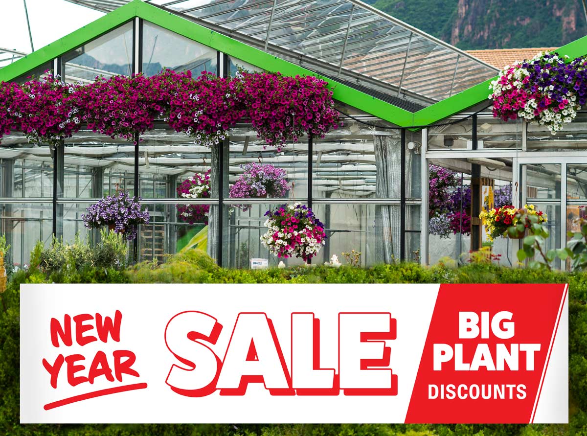 New Year Sale Big Plant Discounts Banner