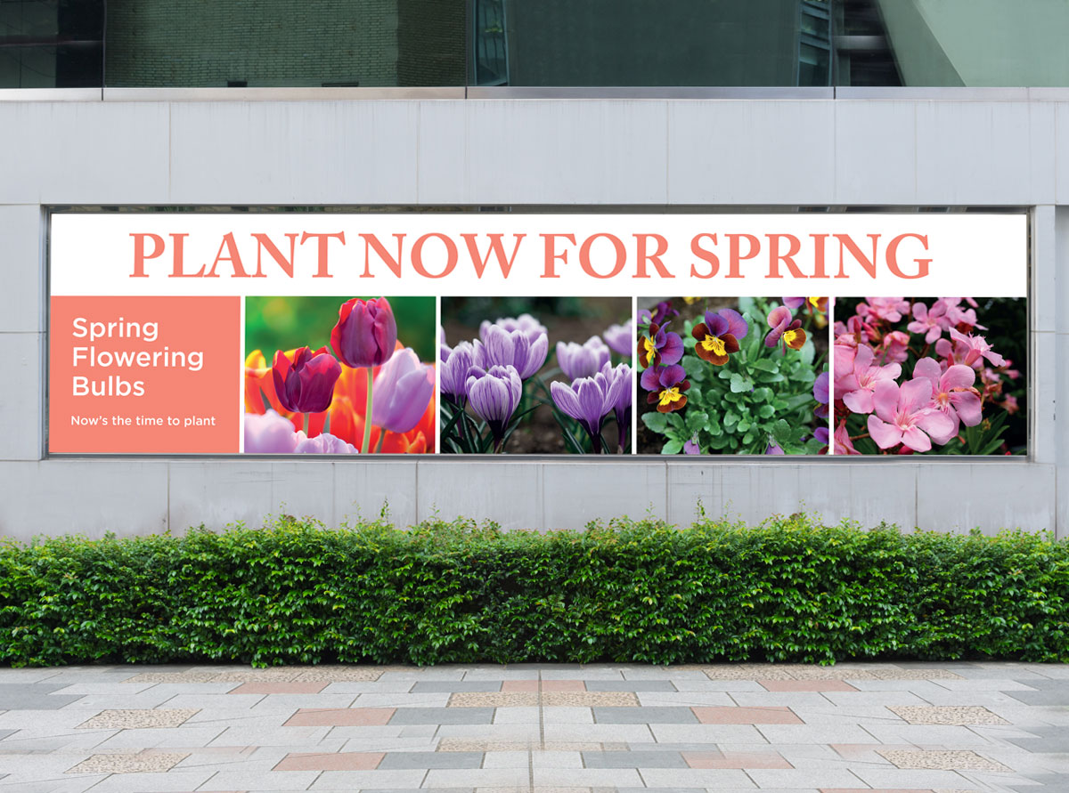 Plant Now for Spring